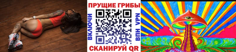 Псилоцибиновые грибы GOLDEN TEACHER  где можно купить наркотик  Шенкурск 